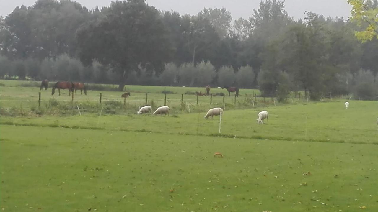 Bed and Breakfast De Weije Wereld Sint-Oedenrode Exterior foto