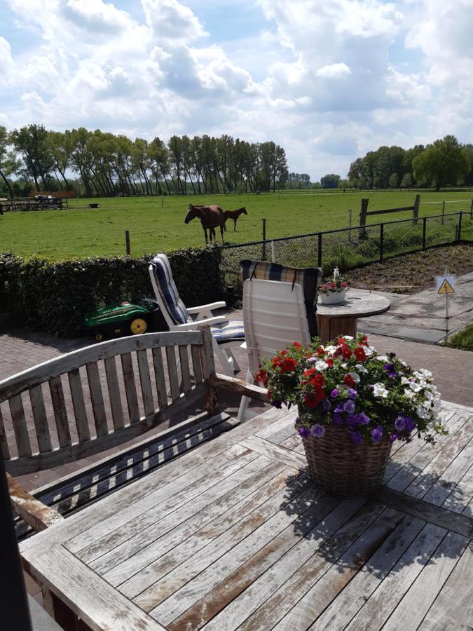 Bed and Breakfast De Weije Wereld Sint-Oedenrode Exterior foto